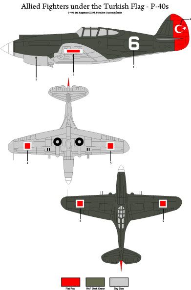 Tigerhead Models D48001 1:48 Allied Fighters under the Turkish Flag - Curtiss P-40.